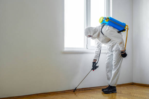 Professional Pest control in Chackbay, LA